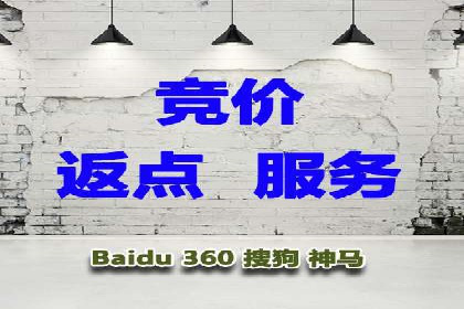 搜索开户返点政策下的成功案例分析